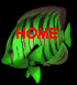Go Home!